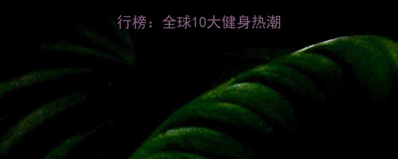 外国流行有氧运动排行榜全球10大健身热潮附科学训练指南-第2张图片-ZBLOG