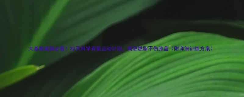 大基数减脂必看30天科学有氧运动计划高效燃脂不伤膝盖附详细训练方案-第2张图片-ZBLOG