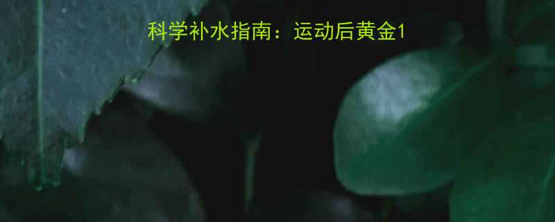 大量运动后喝什么好科学补水指南运动后黄金1小时营养搭配与恢复方案-第1张图片-ZBLOG