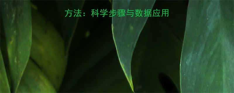 女性三维精准测量方法科学步骤与数据应用指南附实操模板-第1张图片-ZBLOG