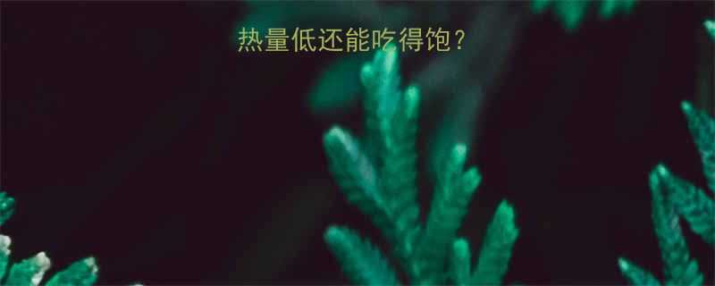 5大科学饮食法-第1张图片-ZBLOG