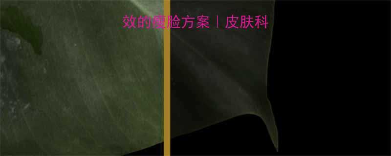 婴儿肥人群3周见效的瘦脸方案皮肤科医生推荐的科学方法-第1张图片-ZBLOG