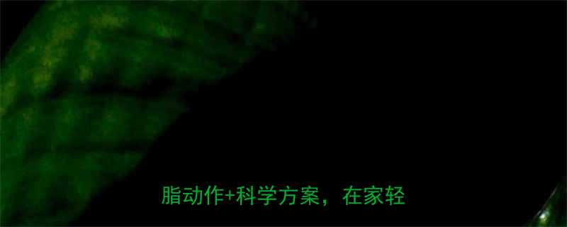 室内运动减肥有效吗5大高效燃脂动作科学方案在家轻松甩肉-第1张图片-ZBLOG