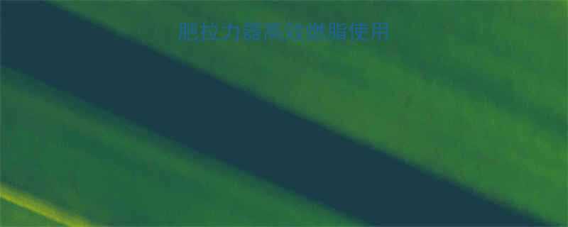 家庭健身必备减肥拉力器高效燃脂使用指南附动作图解-第1张图片-ZBLOG