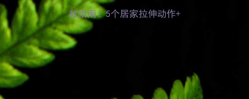 小腿外侧肌肉酸痛自救指南5个居家拉伸动作泡沫轴放松法亲测有效-第1张图片-ZBLOG