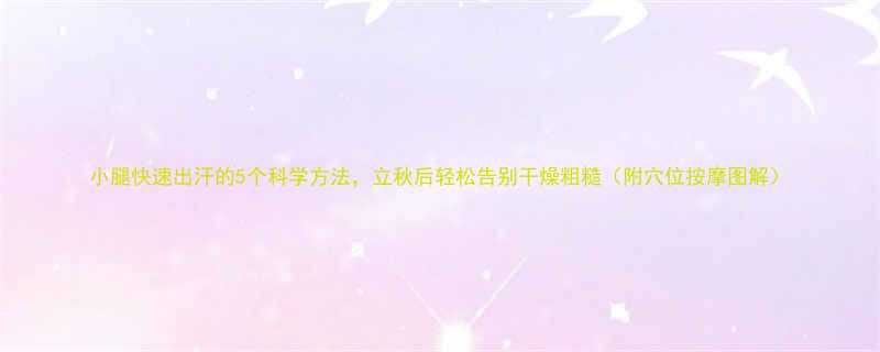 小腿快速出汗的5个科学方法立秋后轻松告别干燥粗糙附穴位按摩图解-第1张图片-ZBLOG