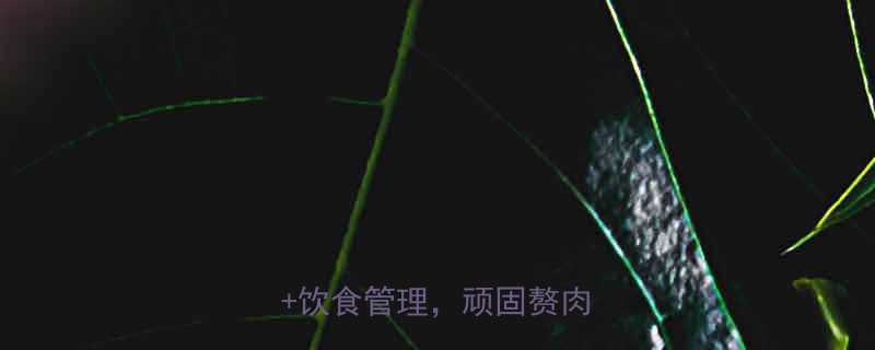 居家一周瘦大腿计划科学训练+饮食管理，顽固赘肉全击退-第1张图片-ZBLOG