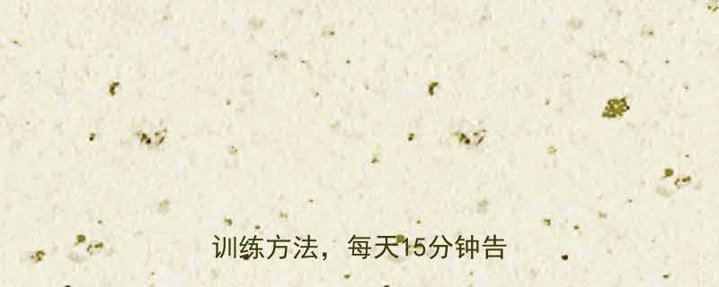 居家瘦腿不跑步5个高效小腿肌肉训练方法每天15分钟告别肌肉腿-第1张图片-ZBLOG