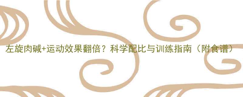 左旋肉碱运动效果翻倍科学配比与训练指南附食谱-第3张图片-ZBLOG