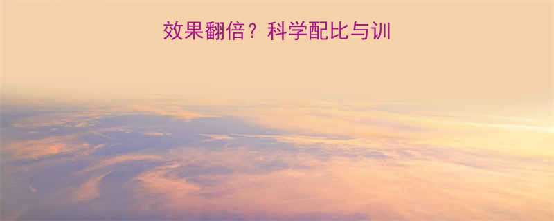 左旋肉碱运动效果翻倍科学配比与训练指南附食谱-第2张图片-ZBLOG