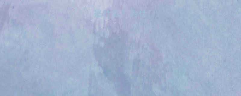 巧姿减肥药是什么为什么值得关注-第2张图片-ZBLOG