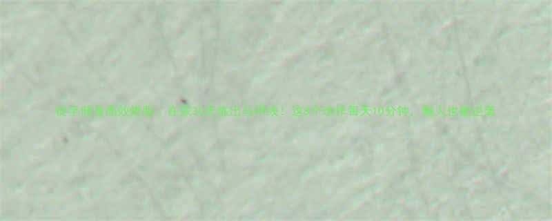 徒手健身高效燃脂在家30天练出马甲线这8个动作每天10分钟懒人也能逆袭-第2张图片-ZBLOG