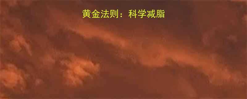 快速减肥的7大黄金法则科学减脂不反弹的实用指南-第2张图片-ZBLOG