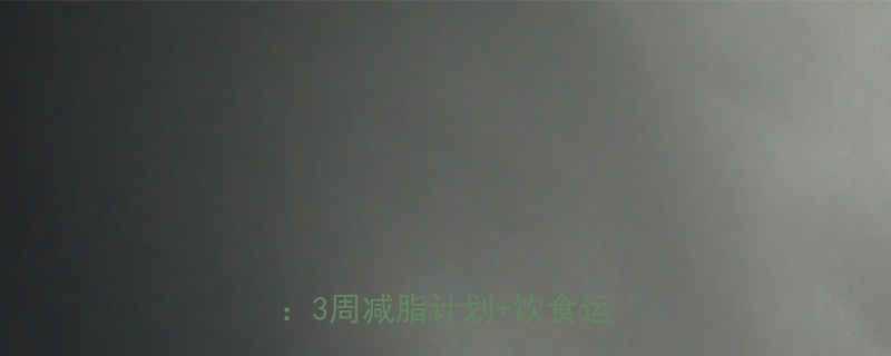 3周减脂计划+饮食运动指南-第1张图片-ZBLOG