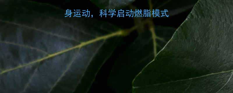 慢跑减肥前的5大热身运动科学启动燃脂模式附新手跟练指南-第1张图片-ZBLOG