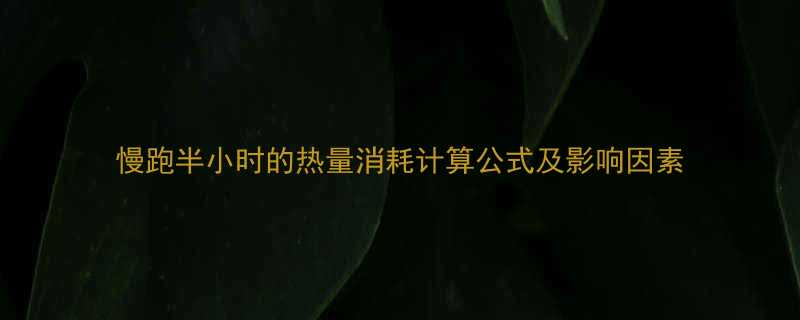 慢跑半小时的热量消耗计算公式及影响因素-第2张图片-ZBLOG
