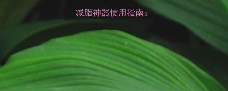 懒人必看居家减脂神器使用指南3周打造易瘦体质-第1张图片-ZBLOG