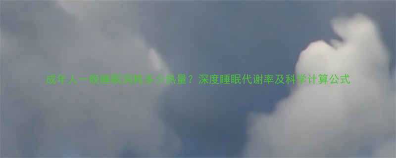 成年人一晚睡眠消耗多少热量深度睡眠代谢率及科学计算公式-第1张图片-ZBLOG