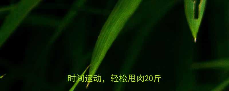 打工人逆袭指南5个办公室碎片时间运动轻松甩肉20斤-第1张图片-ZBLOG