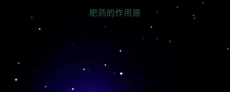 抑制食欲减肥药的作用原理与常见类型-第3张图片-ZBLOG