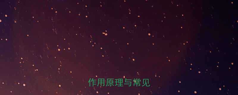 抑制食欲减肥药的作用原理与常见类型-第1张图片-ZBLOG