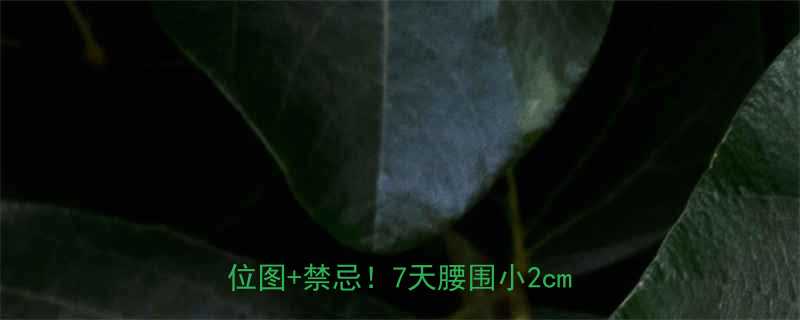 拔罐减肥中医师亲授的3大黄金时间+穴位图+禁忌！7天腰围小2cm的秘诀🔥-第1张图片-ZBLOG