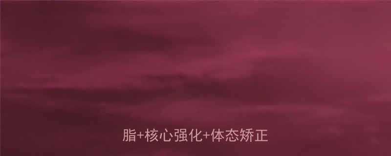 支撑类运动亲测有效全身燃脂核心强化体态矫正三合一-第2张图片-ZBLOG