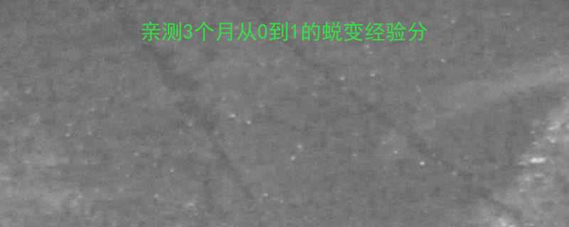 新手必看健身多久见效亲测3个月从0到1的蜕变经验分享附时间表避坑指南-第1张图片-ZBLOG