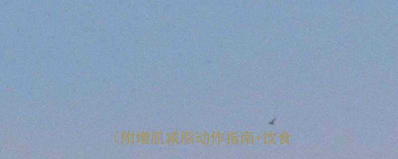 新手必看！30天健身房全身训练计划（附增肌减脂动作指南+饮食搭配表）-第1张图片-ZBLOG