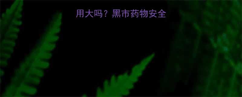 -第1张图片-ZBLOG