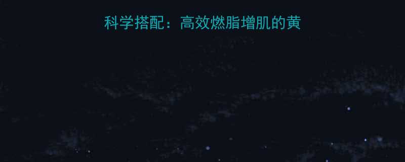 无氧运动+有氧运动科学搭配：高效燃脂增肌的黄金法则（附训练方案）-第2张图片-ZBLOG