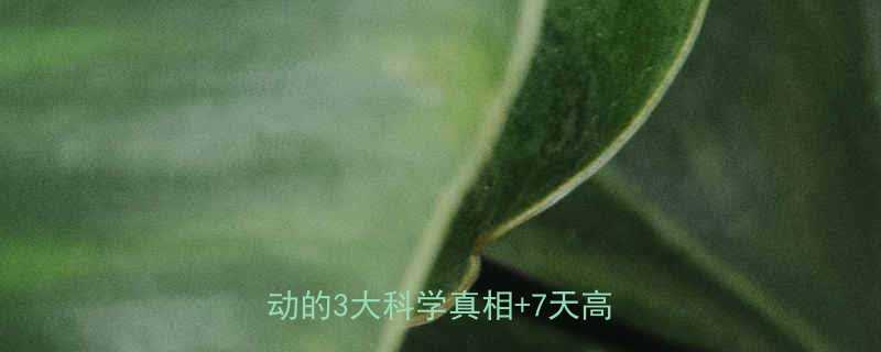 晚上不吃饭健身能减肥吗空腹运动的3大科学真相7天高效计划-第1张图片-ZBLOG