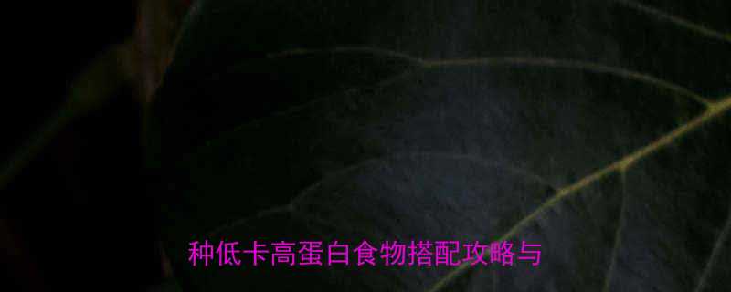 晚上健身后吃什么减脂期必看5种低卡高蛋白食物搭配攻略与禁忌清单-第2张图片-ZBLOG