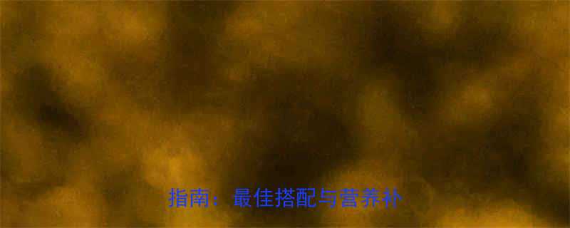 晚上健身完吃什么？科学饮食指南：最佳搭配与营养补剂推荐-第1张图片-ZBLOG