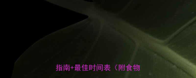 晚上运动前吃多久东西合适科学指南最佳时间表附食物推荐-第1张图片-ZBLOG
