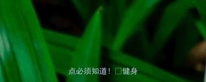 晚上运动完吃东西这几点必须知道健身党必看-第2张图片-ZBLOG