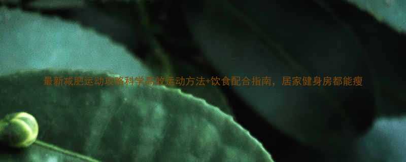 最新减肥运动攻略科学高效运动方法饮食配合指南居家健身房都能瘦-第2张图片-ZBLOG