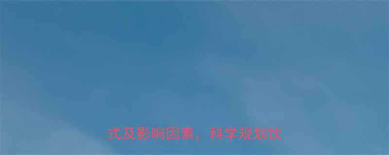 最新指南人体每天热量需求计算公式及影响因素科学规划饮食健康-第2张图片-ZBLOG