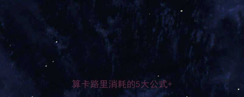 最新版每日热量消耗计算器精准计算卡路里消耗的5大公式使用指南-第3张图片-ZBLOG