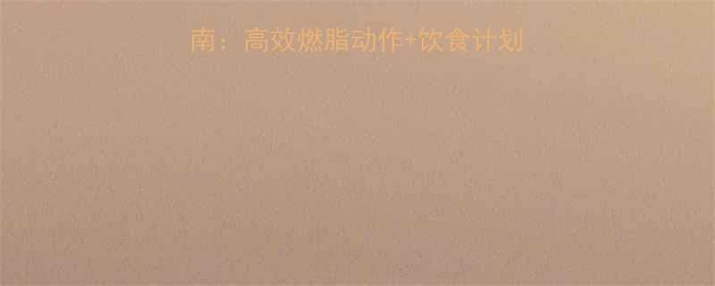 最新版瘦身圈训练指南高效燃脂动作饮食计划30天打造完美身材-第2张图片-ZBLOG