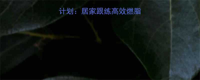 最新科学减肥运动计划：居家跟练高效燃脂，7周打造理想身材-第1张图片-ZBLOG