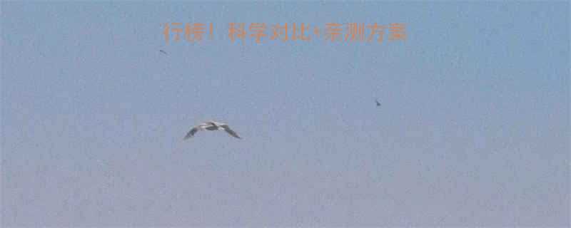 最有效减肥运动排行榜科学对比亲测方案一个月甩肉10斤-第1张图片-ZBLOG