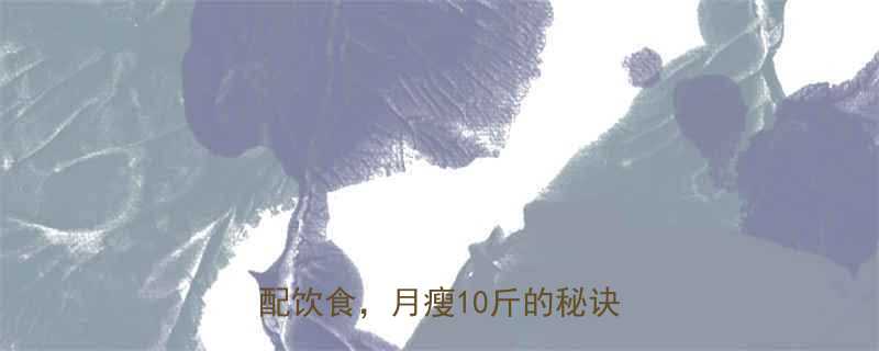 最有效的5种运动减肥法科学搭配饮食月瘦10斤的秘诀大公开-第1张图片-ZBLOG