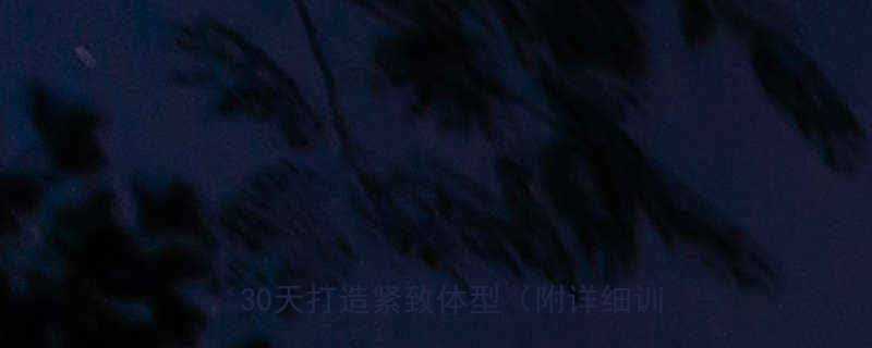 最有效的全身运动减肥法科学搭配动作30天打造紧致体型附详细训练计划-第2张图片-ZBLOG