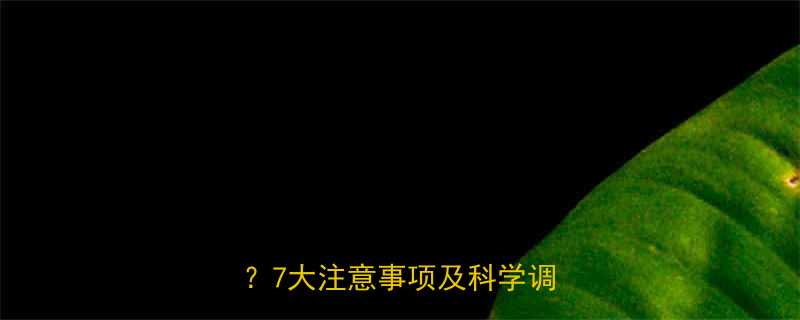 月经前服用减肥药有哪些风险7大注意事项及科学调理指南-第1张图片-ZBLOG
