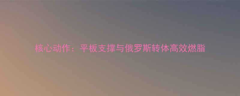 核心动作平板支撑与俄罗斯转体高效燃脂-第1张图片-ZBLOG