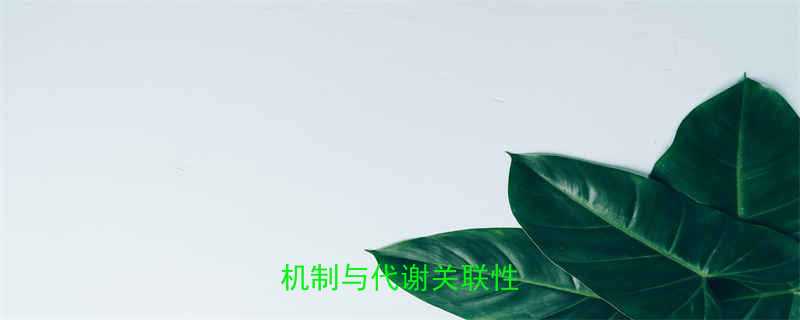 核心问题水桶腰形成机制与代谢关联性研究-第2张图片-ZBLOG