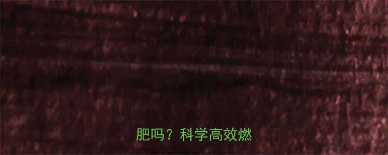 每天40分钟运动能减肥吗科学高效燃脂方案-第3张图片-ZBLOG