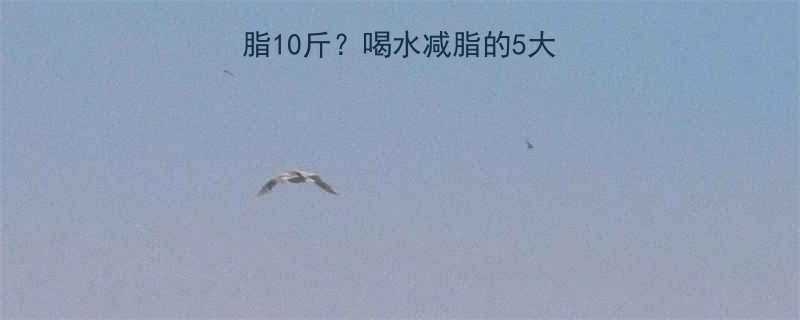 每天喝够8杯水能减脂10斤喝水减脂的5大科学依据与实操指南-第1张图片-ZBLOG