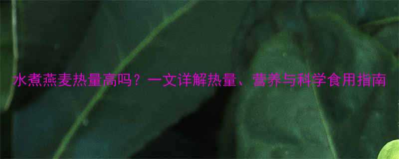 水煮燕麦热量高吗一文详解热量营养与科学食用指南-第1张图片-ZBLOG